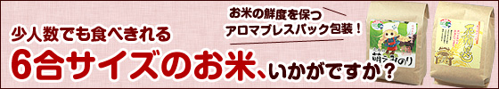 6合サイズのお米