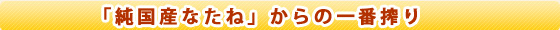 純国産なたねからの一番搾り