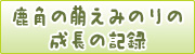 鹿角の萌えみのりの成長の記録