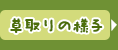 草取りの様子