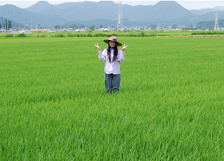 田んぼにて