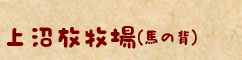 上沼放牧場(馬の背)