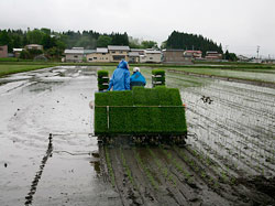 写真：2010年5月24日の様子その１