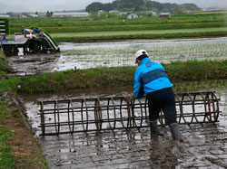 写真：2010年5月24日の様子その２
