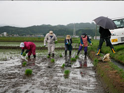 写真：2010年5月24日の様子その３